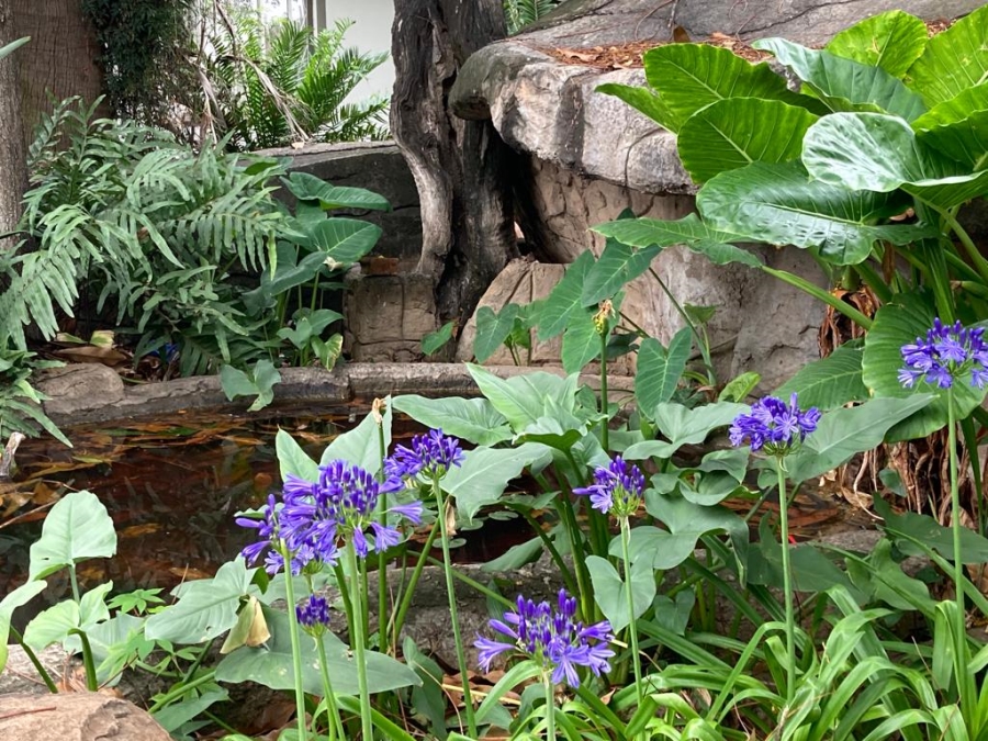 Commercial Property for Sale in Waterval East North West